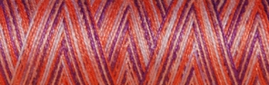 Venne BIO GOTS katoen Nm 40/2 gemerc. multi-kleur mini spoel nr. 8-4008 zomer