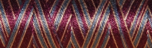 Venne BIO GOTS katoen Nm 40/2 gemerc. multi-kleur mini spoel nr. 8-3060 donker