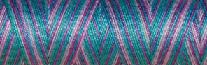 Venne Cotton Nm 40/2 mercerized 1000 gram multi-color nr. 8-4004 tiare