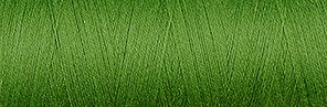 Venne ORGANIC GOTS Cotton Ne 16/2 1000 gram 5-5053 Fern Green