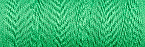 Venne ORGANIC GOTS Cottolin Nel 22/2, 100 gram 3-5002 Kelly Green
