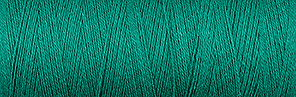 Venne BIO GOTS cottoline Nel 22/2 100 gram 3-5052 gifgroen