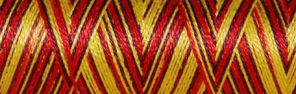 [8-402-4010-4] Venne Cotton Nm 40/2 mercerized 1000 gram multi-color nr. 8-4010 spice