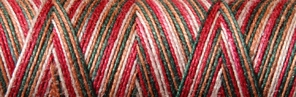 [8-402-4005-4] Venne Cotton Nm 40/2 mercerized 1000 gram multi-color nr. 8-4005 winter