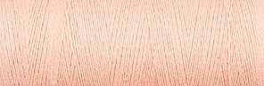 [3-222-2005-3] Venne BIO GOTS cottoline Nel 22/2, 100 gram 3-2005 zalmine
