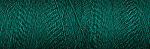 [4-282-5034-2] Venne ORGANIC 100% Merino Wool Nm 28/2 50 gram 4-5034 Forest Green