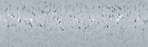 [10-24-9001-4] Venne Creafil Nm 24 1000 gram nr. 10-9001 abby